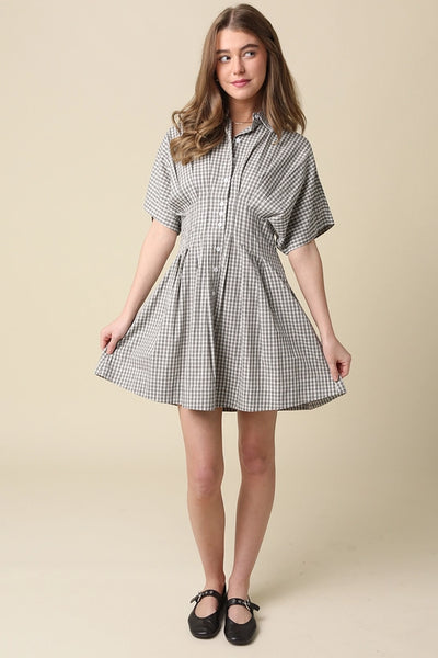 Ginghum Button Front Dress