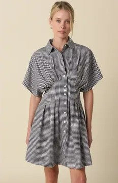 Ginghum Button Front Dress